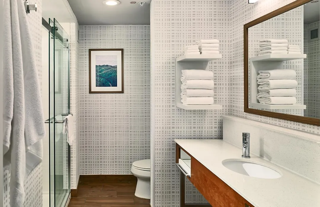 Hampton Inn Gatlinburg Historic Nature Trail, Tn-1
