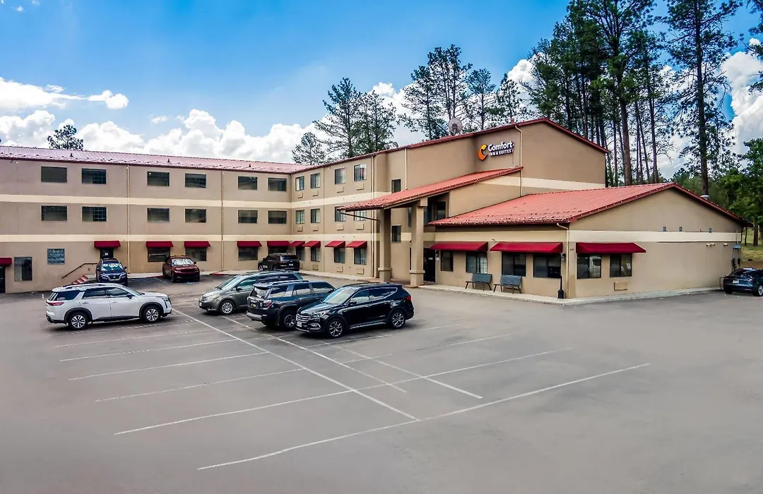 Comfort Inn & Suites Midtown-1