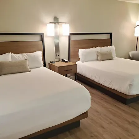 Wyndham Garden San Diego Near Seaworld-2