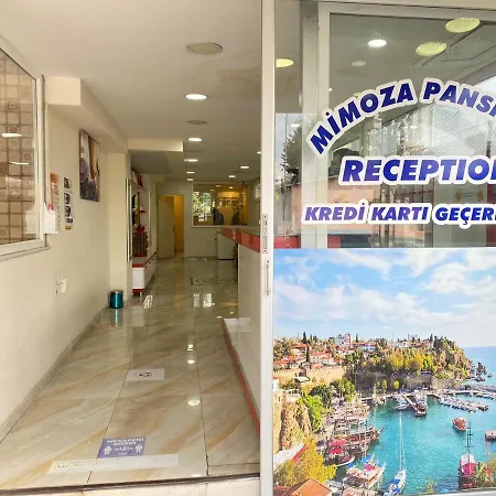 Mimoza Pansiyon-2