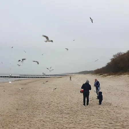 Ostseeresidenz Niechorze Grosses App Mit Schwimmbad-3