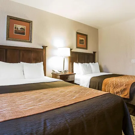 Comfort Inn & Suites Henderson - Las Vegas-3