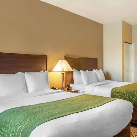 Comfort Inn & Suites Orange County John Wayne Airport-2