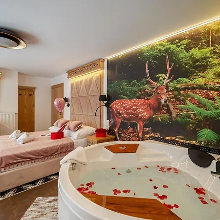 Serce Tatr Residence Zakopane - blisko Krupówek-2