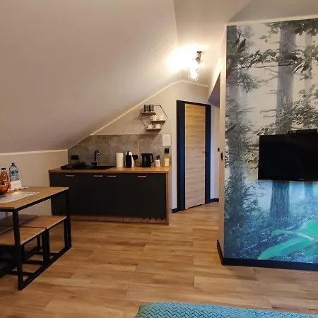 Apartament Olimpijska 54 z prywatnym jacuzzi na tarasie-2
