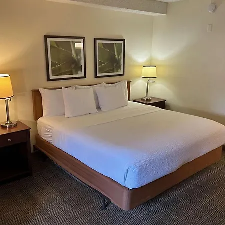 Baymont By Wyndham Orlando South-2