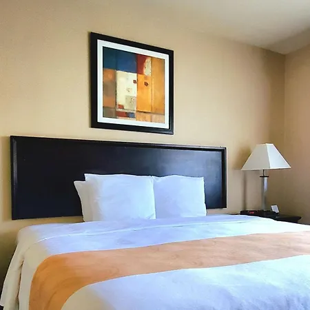 Quality Inn & Suites Anaheim At The Park-3