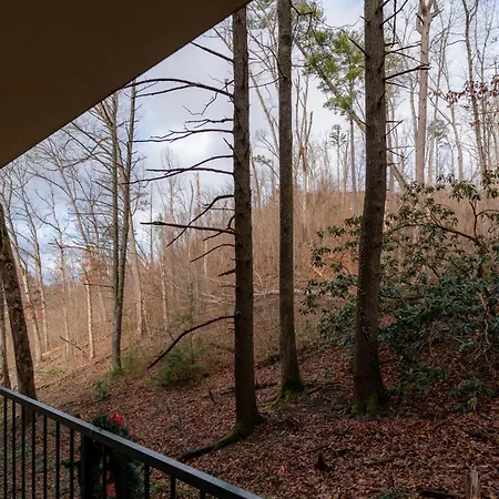 Condo In Gatlinburg Very Peaceful - 10 Min Walk To Main Strip-2