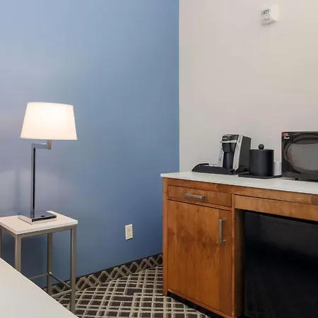 Hilton Garden Inn Dallas/Market Center-3