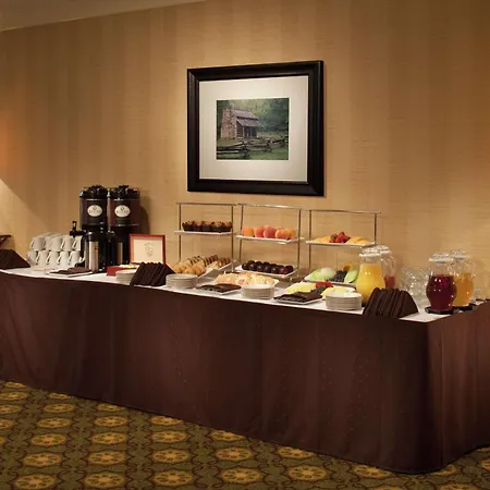 The Park Vista - A Doubletree By Hilton Hotel - Gatlinburg-3