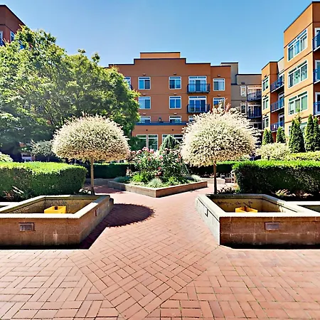 Belltown Court II-2