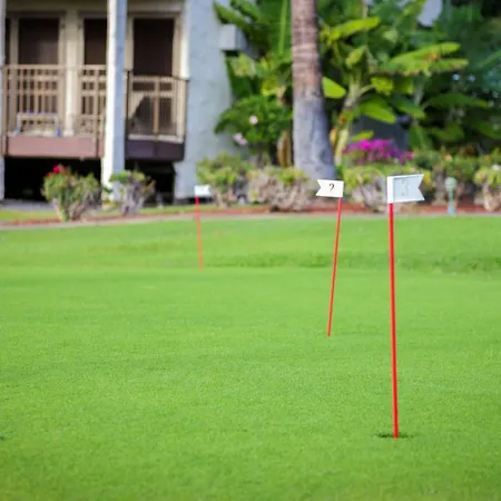 Aston Maui Hill-3