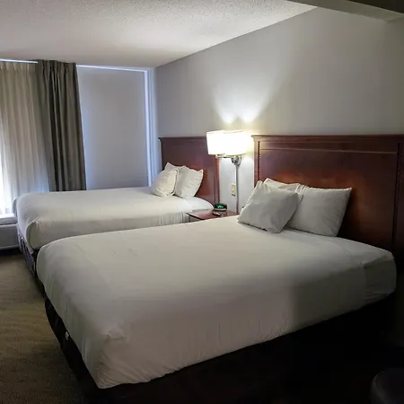 Wingate By Wyndham Chesapeake-2
