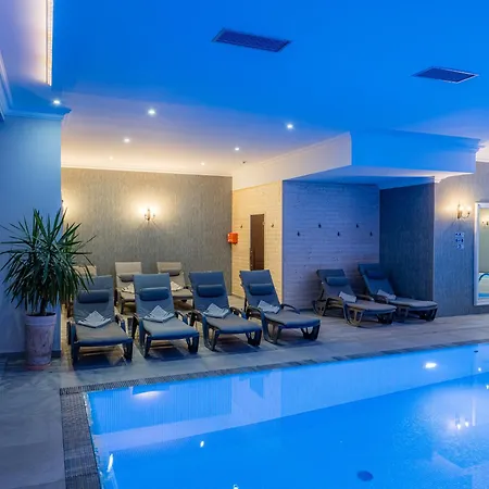 Hotel Paryski Art&Business Zakopane - Basen Jacuzzi Sauna Małpi Gaj-3