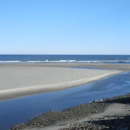 Sea Chambers-3