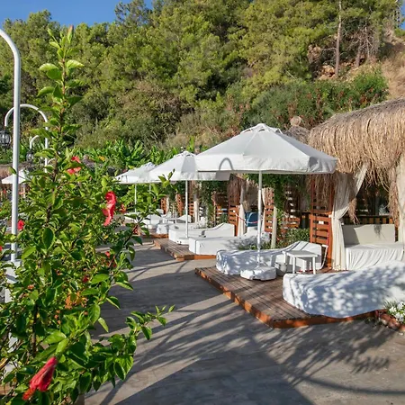 Mylome Luxury Hotel & Resort-3