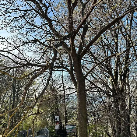 Ośrodek Promenada - Grzybek-3