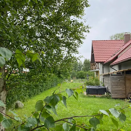 House Hostelli-2