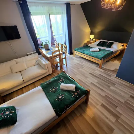 Pensjonat Harmatówka - ATRAKCYJNY PAKIET ŚWIĄTECZNY - blisko basenów termalnych-2