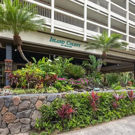 Beach Life Waikiki One Bedroom Condo Full Kitchen-2