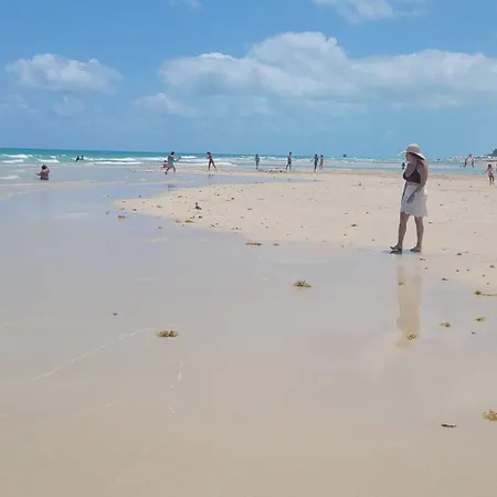 2 Bedroom 2 Bath Beachfront Condo On Miami Beach Millionaire Row-3