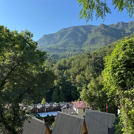 Dimcayi Yagiz Bungalov-3