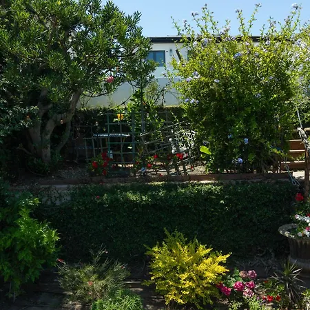 Overlooking Marina Del Rey Sailboats, Is Green Ginger Playa Del Rey On The Bluff,-3