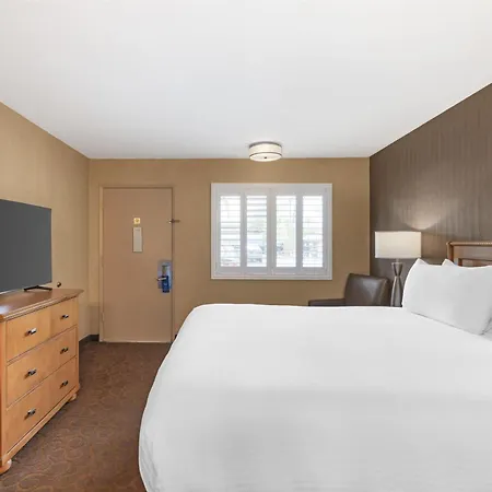 Best Western Plus Pavilions-2