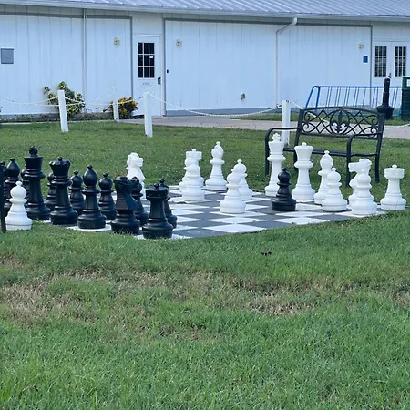 Luxury Tiny Cottage 5 Miles From Disney-3