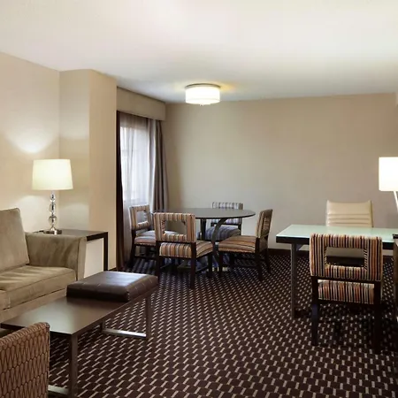 Embassy Suites By Hilton Houston Near The Galleria-3
