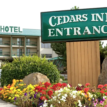 Cedars Inn-2