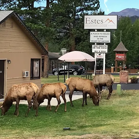 Estes Mountain Inn-3