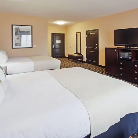 Holiday Inn Arlington Northeast By Ihg-3
