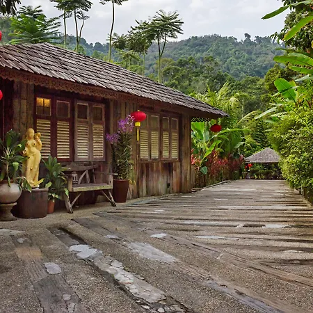 Fig Tree Hills Resort-3
