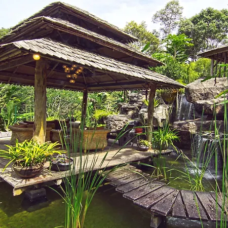 Fig Tree Hills Resort-2