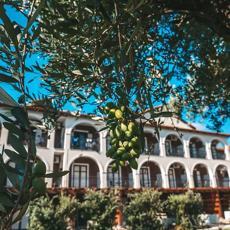 Castelli Hotel-Adults Only-2