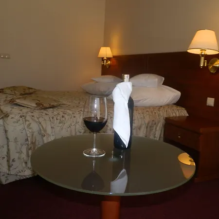 Willa Alexander Resort&SPA - caloroczny kryty BASEN-3