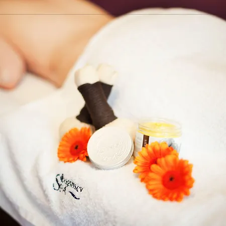 Bagińscy Spa-2