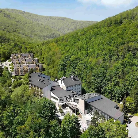 Magnus Resort-2