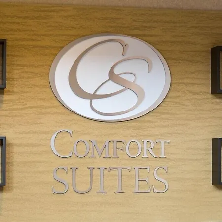 Comfort Suites Fort Worth North Fossil Creek-3