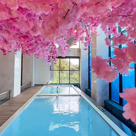 The Yanne, Onsen Hotel-3