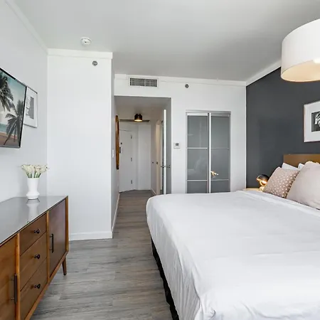 Contemporary King Studio In Coconut Grove Includes Parking-2