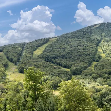 374 Lodge At Spruce Peak Ski In Ski In Ski Out King Studio By Stowe Mountain Rentals-3