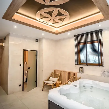 Willa U Anusia Jacuzzi & Sauna-3