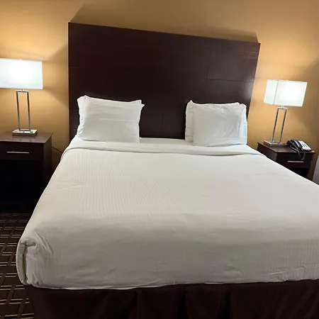 Best Western Dodgeville Inn & Suites-2