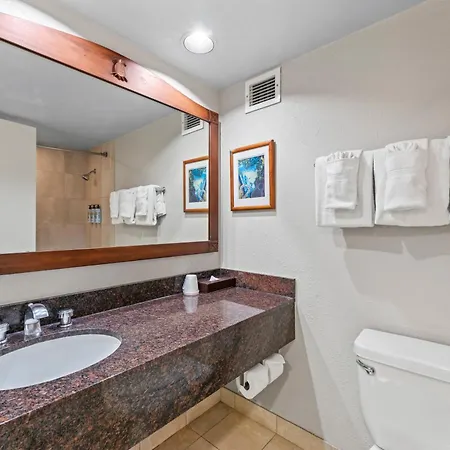 Waikiki Studio Near Beach&Park w No Resort Fees-2