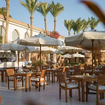 Baron Palms Adults Friendly Only 16 Years Plus Boutique Hotel Style-3