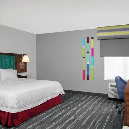 Hampton Inn Lake Buena Vista / Orlando-2