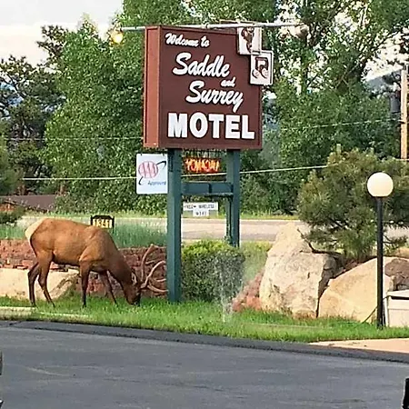 Saddle & Surrey Motel-2