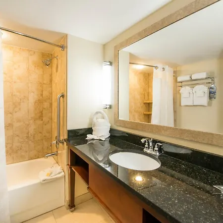 Holiday Inn Resort Orlando - Lake Buena Vista By Ihg-2
